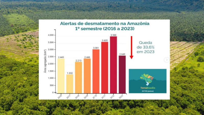IL POLMONE VERDE DELLA TERRA TORNA A RESPIRARE: IN AMAZZONIA LA DEFORESTAZIONE È CROLLATA DEL 33% NELL’ULTIMO ANNO